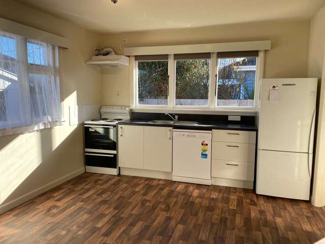 11 Worthy Street Ilam_1