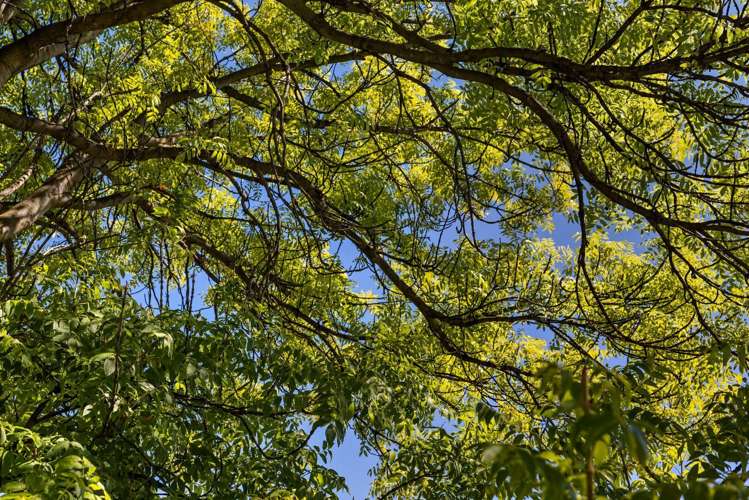 6 Matai Road Wanaka_11