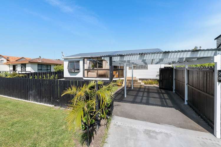 26 Nukumea Common Orewa_1