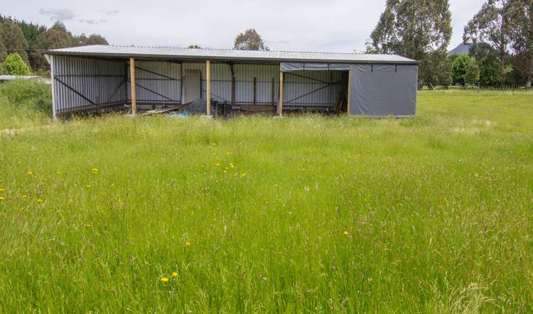 Taringamotu Road Taumarunui_16