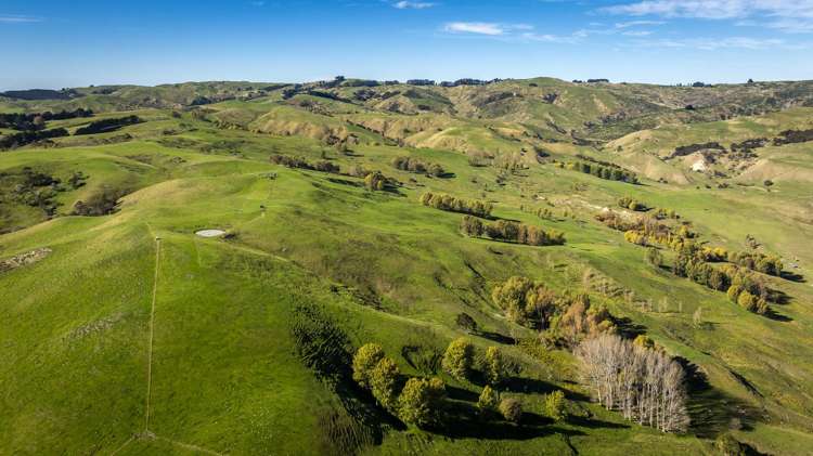 3503 Porangahau Road Porangahau_23