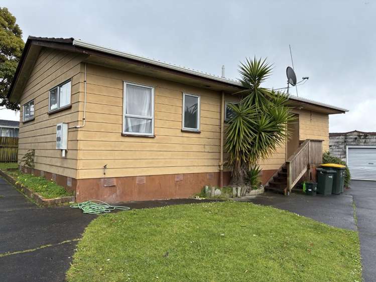 115 Finlayson Avenue Clendon Park_0