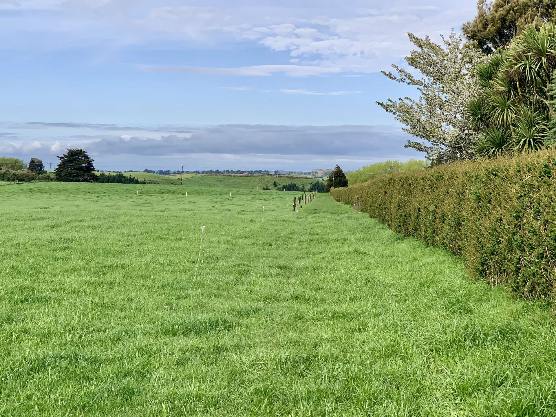 267 Waitara Road Waitara_0