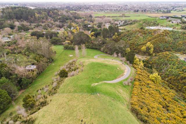 248 Polson Hill Drive Aokautere_2