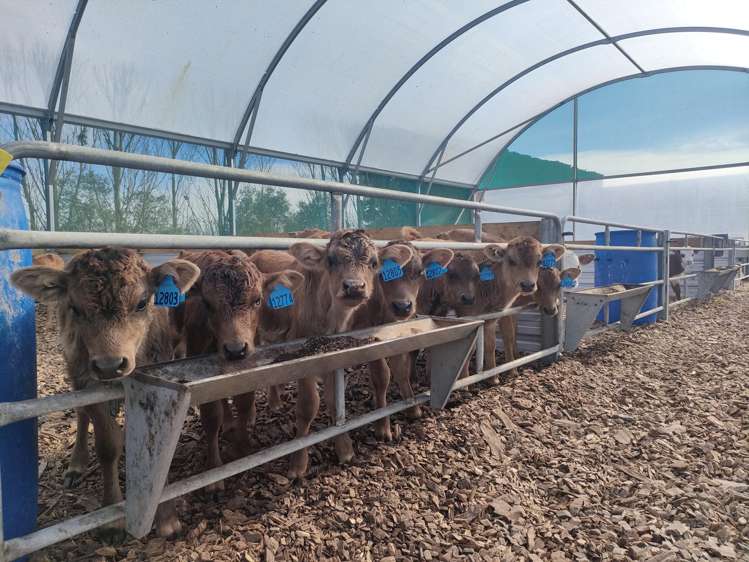 134 Longbeach Road Willowby_18