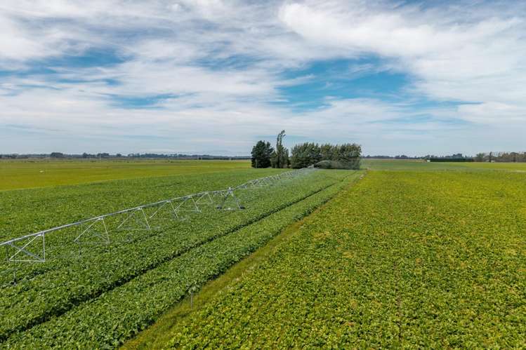 83 Highfield Road Dunsandel_12