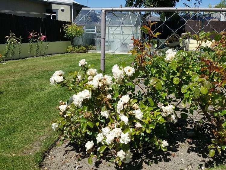 3 Ashworth Street Alexandra_10