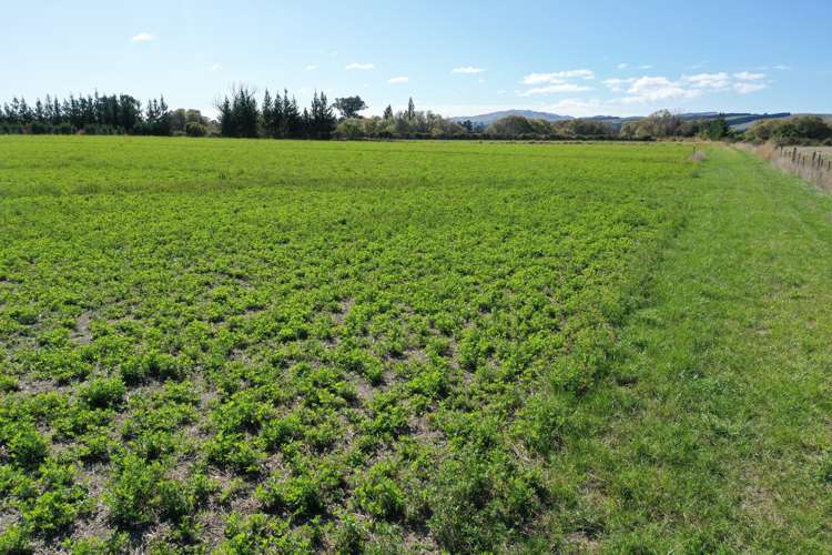 216 Reserve Road Balcairn_12