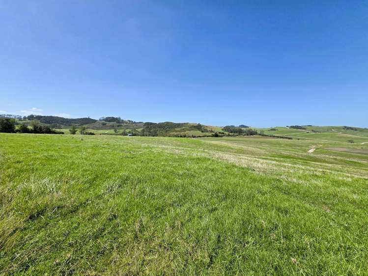 77 Molloy Road Ruawai_2