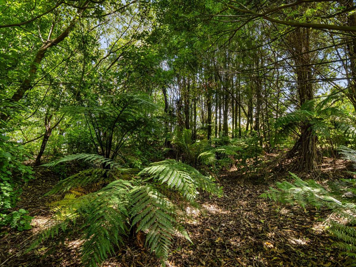 Lot 3 6A Waiata Road_3