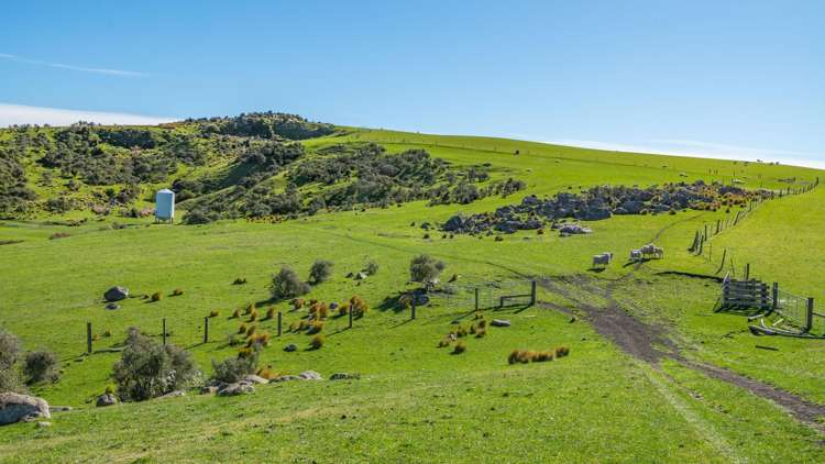 614 Omihi Road Omihi_23