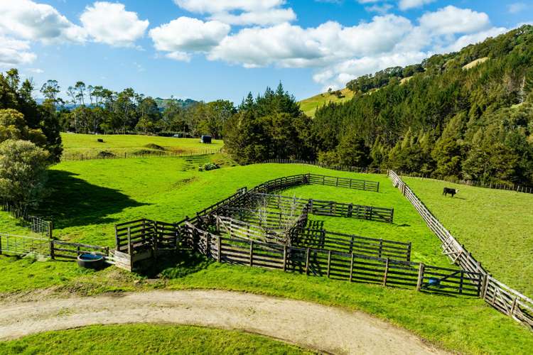 255 O'Carroll Road Maungakaramea_5