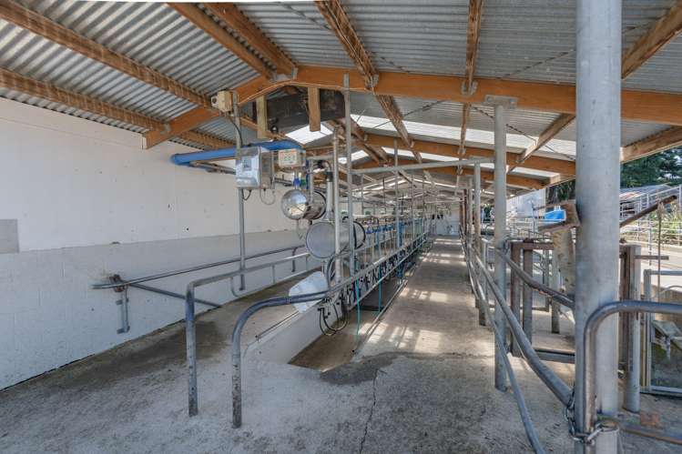 172 Kakariki West Road Eketahuna_22