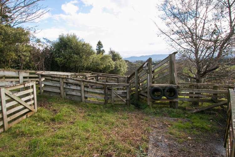 426 Esdaile Road Whakamarama_19