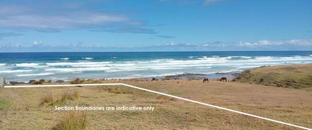 Mitimiti Beachfront Section - Dream Location!