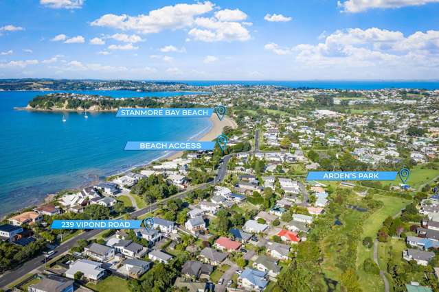 239 Vipond Road Stanmore Bay_3