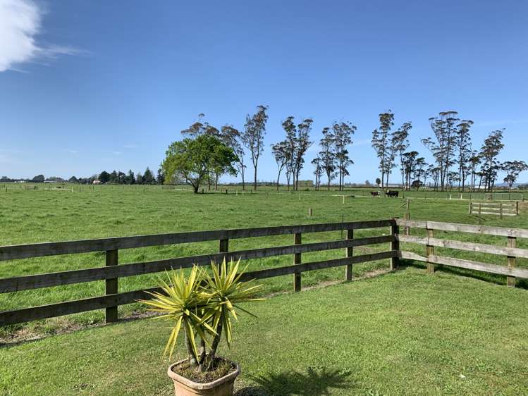 901 Matata Road 11582_11