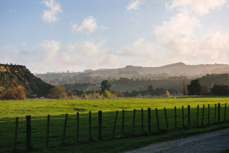 216 Rowes Road Hunterville_29