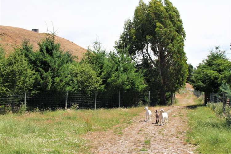 1398 Ramparts Road Manapouri_10