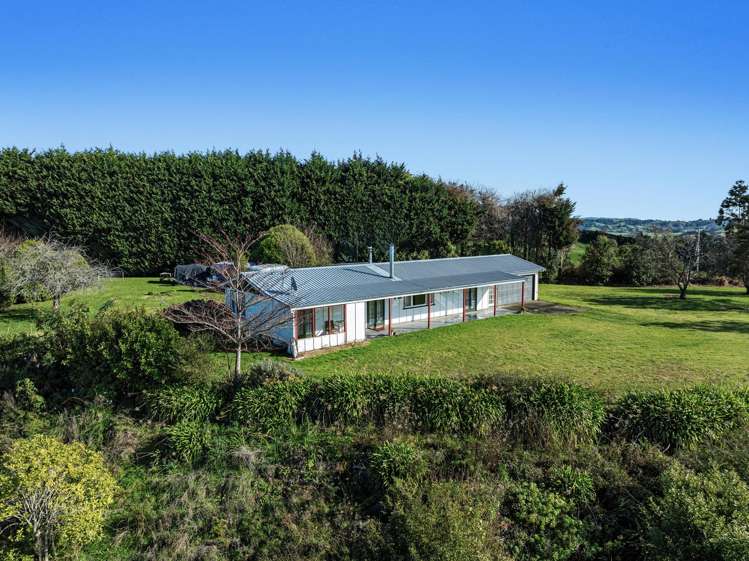 501 Paerata Ridge Road Opotiki and Surrounds_6