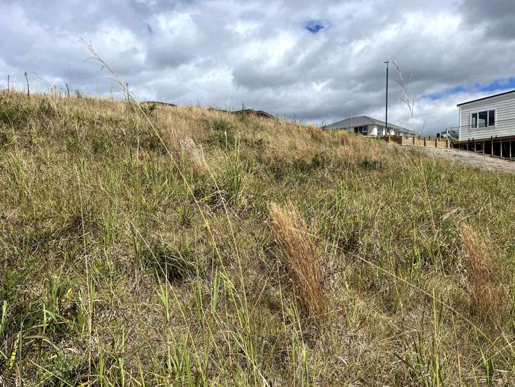 7 Whitney Lane Karikari Peninsula_7