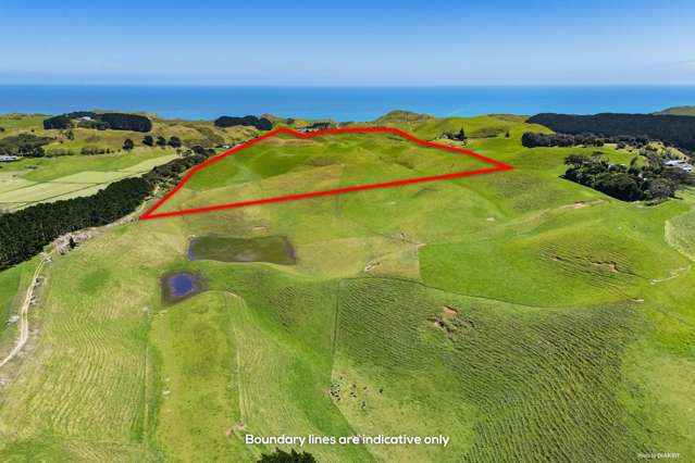 473 Bothwell Park Road Otaua_1