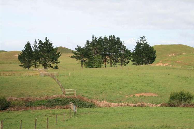 85 Gordon Road Stratford_15