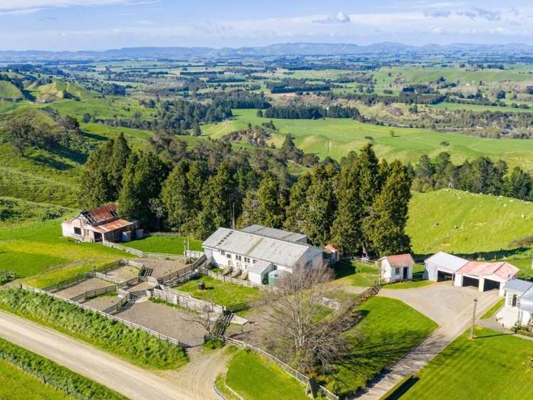 1139 Blackburn Road Central Hawkes Bay_5
