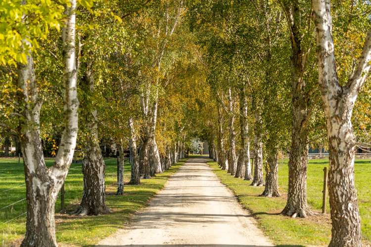 659 Dalefield Road Carterton_21