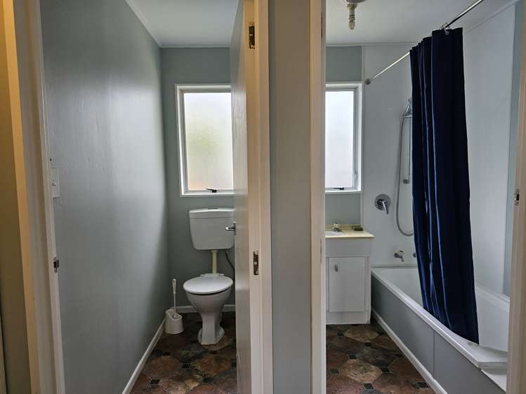 7a Guy Avenue Levin_7