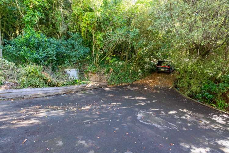 61 Braeview Crescent Maori Hill_24