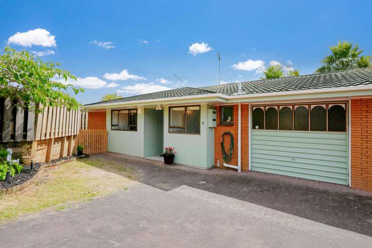 20b Homestead Road Manly_23