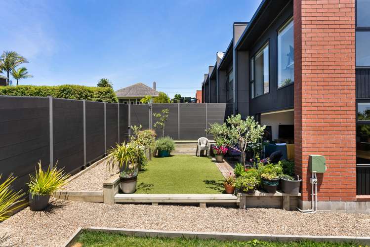 16F Cradock Street Avondale_13