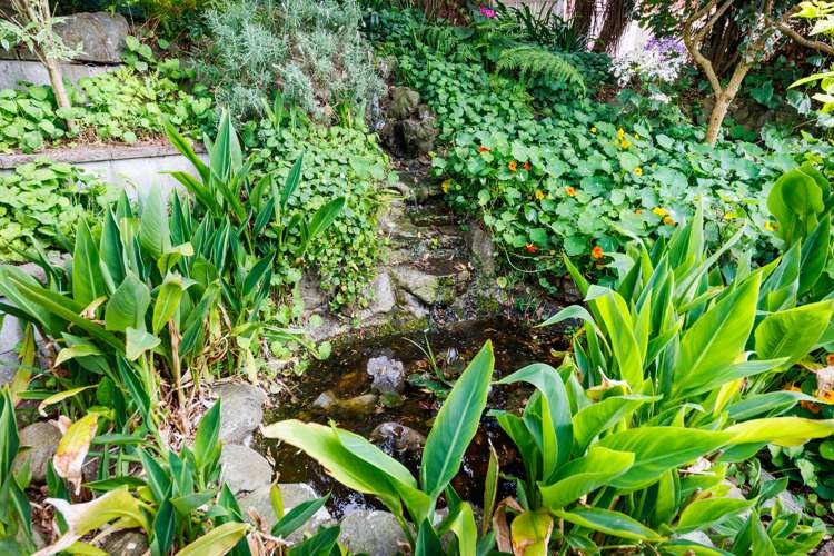 3 Kensington Mews Hokowhitu_18