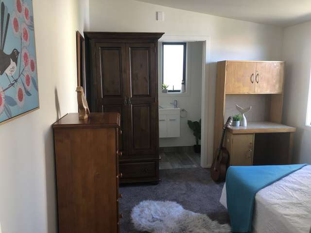 25a Howe Street Howick_4