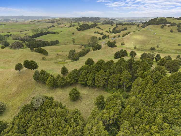 600 Crows Nest Road Hukerenui_17