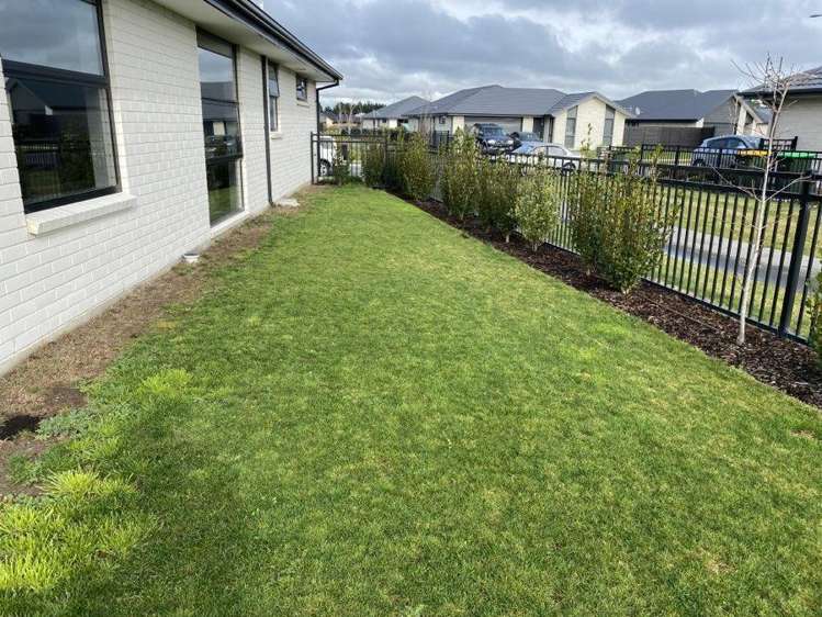 17 Tobollie Drive 11103_15