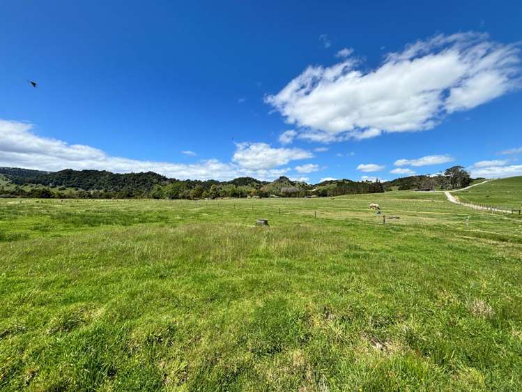 Lot 2, 74 Pukepoto Road Okaihau_7