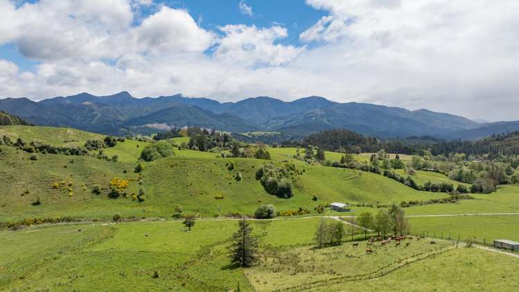 98 Thorpe-Orinoco Road Ngatimoti_24