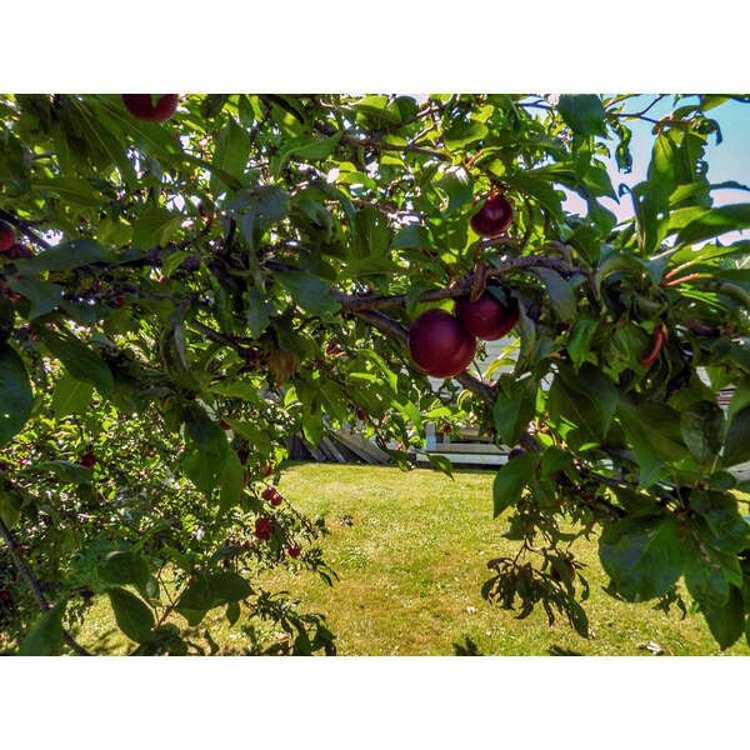 23 Witham Street Oamaru_21