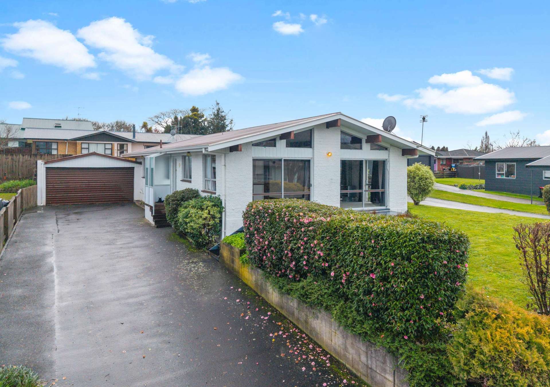 19 Williams Avenue Morrinsville_0