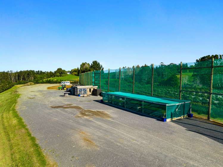 299b Whakamarama Road Whakamarama_15