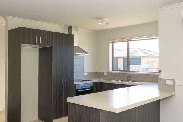 8 Olwyn Place Blenheim Central_1