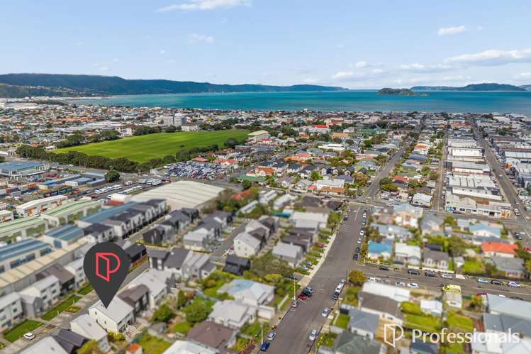 13 Te Ara O Te Amo Hohipene Petone_17