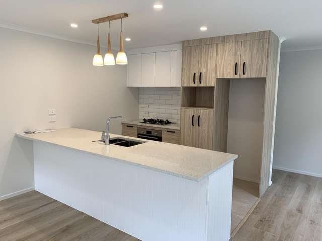  22 Mistry Place Harrowfield_1