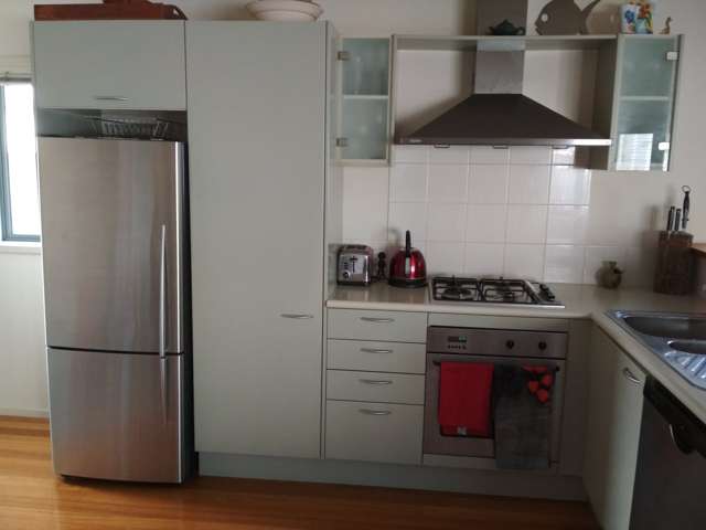 4i Wilkins Street Freemans Bay_3