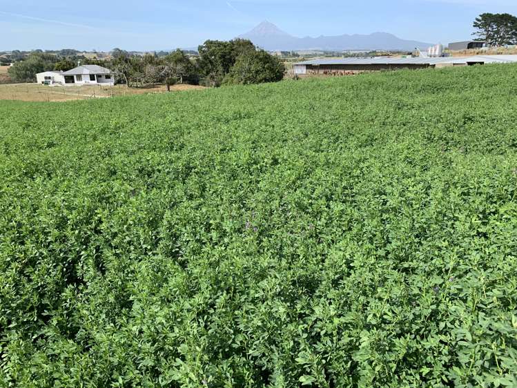 354 Paraite Road Paraite_9