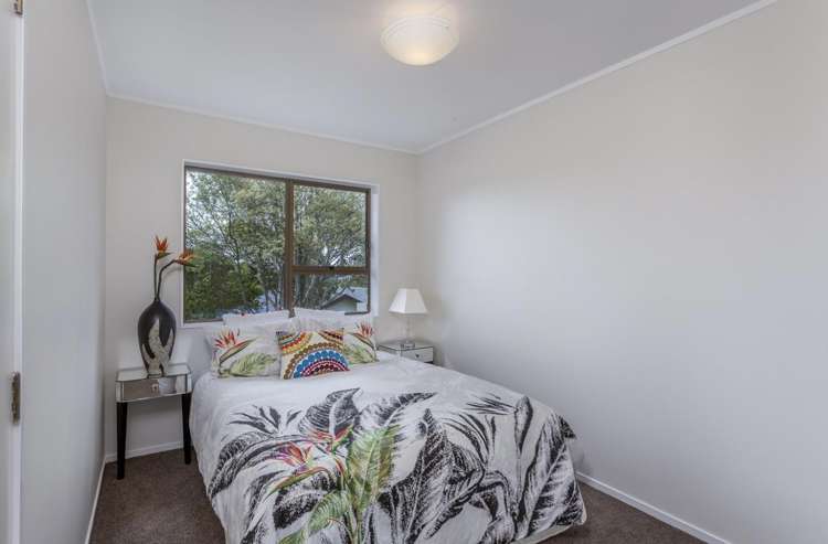 3/291A Hillsborough Road 1687_6