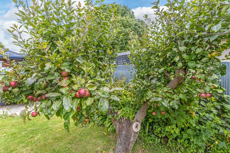 35 Daniels Road Redwood_16