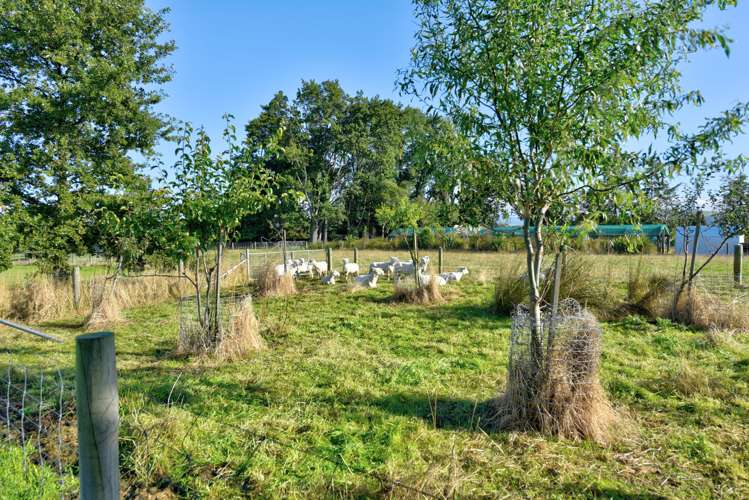 15 Derby Street Tapanui_24